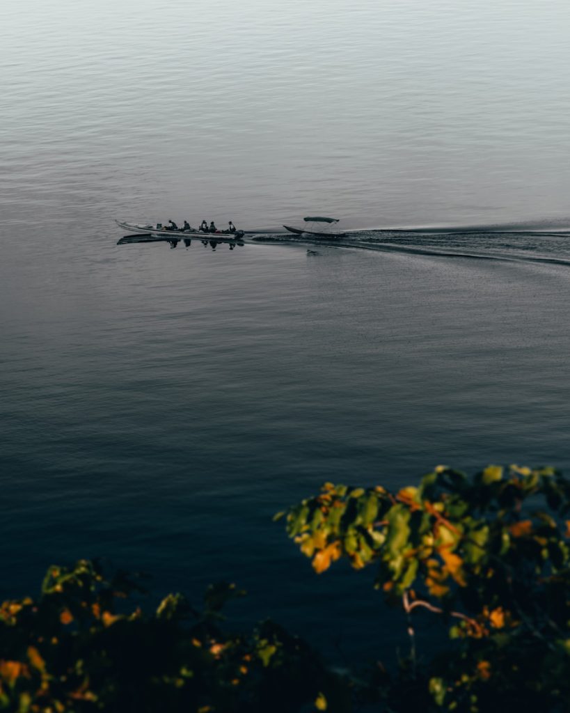 Amazonas: explore a beleza natural e a cultura local